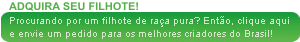 Adquira seu filhote!