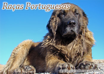 Raças Portuguesas