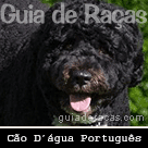 Cão D'água Português