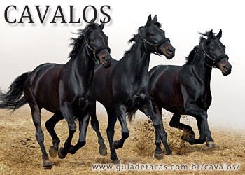 Raças Brasileiras de Cavalos