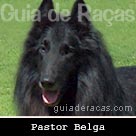 Pastor Belga