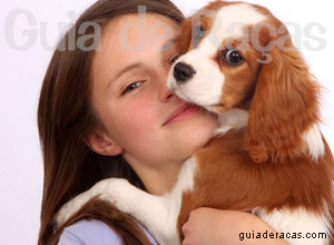 Filhotes Tudo sobre Filhotes