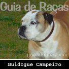 Buldogue Campeiro