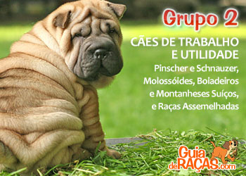 Cães de Guarda, Trabalho e Utilidade
