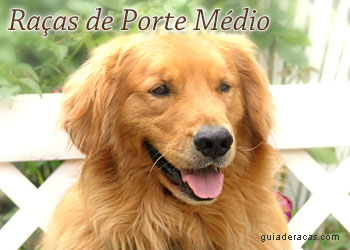 Raças de Cães