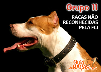 Raças Não Reconhecidas pela FCI
