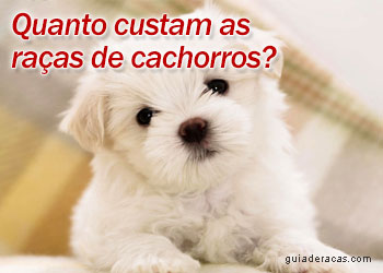 Tabela de Preços das Raças de Cães