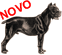 Cane Corso