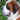 f1_argus.jpg (38271 bytes)