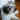 f1_pepper_shitzu.jpg (21354 bytes)