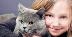 Gatos bons para crianças
