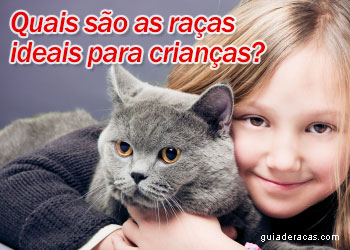 Raas de gatos boas para crianas