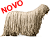 Komondor