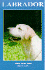 Labrador