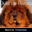 Mastim Tibetano