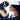 missy_sao_bernardo.jpg (25200 bytes)